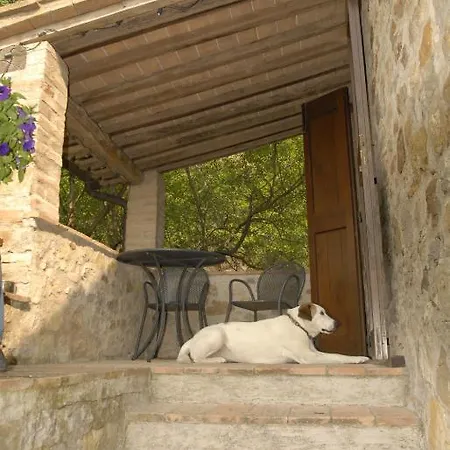 Alloggio per agriturismo Podere Monte Petreto San Savino (Magione)