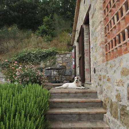 Podere Monte Petreto San Savino (Magione)