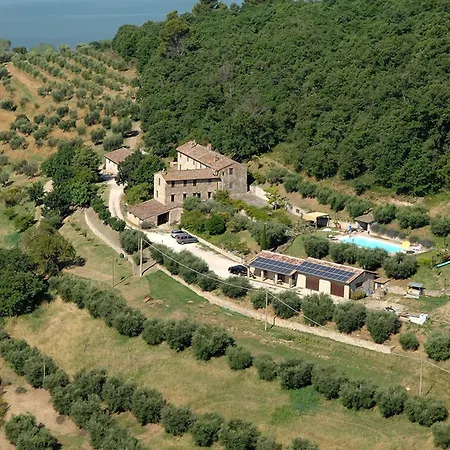 Podere Monte Petreto *