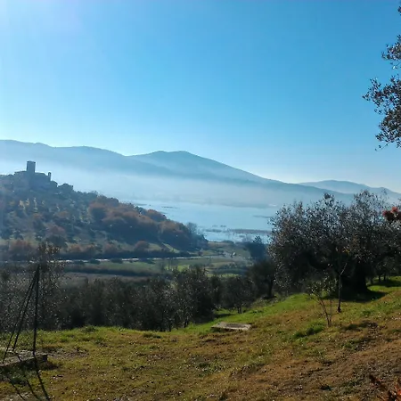 Podere Monte Petreto * San Savino