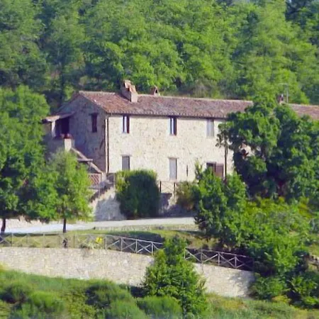 Podere Monte Petreto *