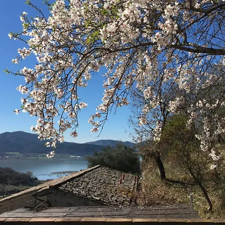 Podere Monte Petreto ファームステイ